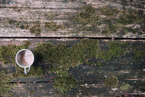 Coffee cup on old wooden table outdoors with copy space