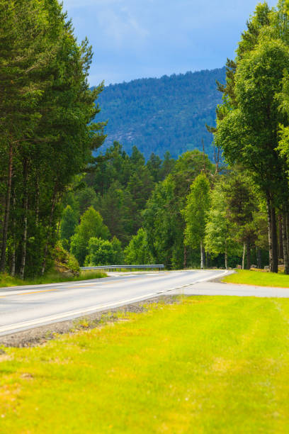 istock Road landscape in norwegian mountains 905731956