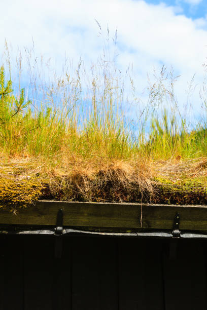 istock Norwegian house with grass roof 905734114