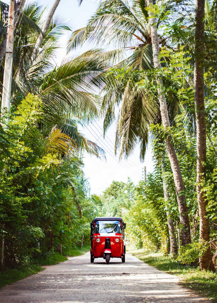 Red tuk-tuk under the palm trees on the country road stock photo