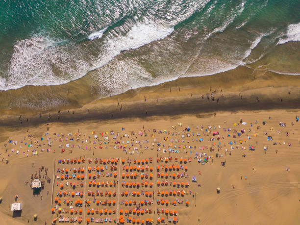 istock Aerial view of Maspalomas beach, Maspalomas, Gran Canaria, Spain. 905747016