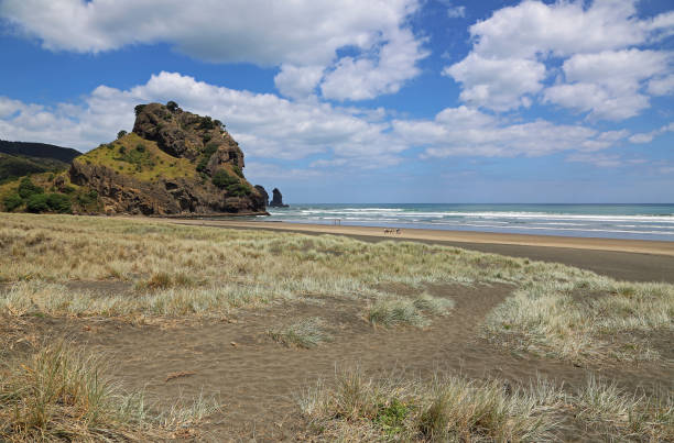 istock Lion Rock on Piha Beach 905754694