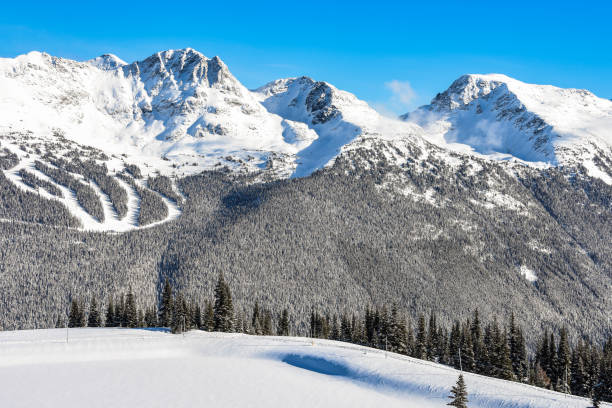 istock Whistler Blackcomb Ski Area 905760724