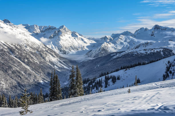 istock Whistler Blackcomb Ski Area 905761024