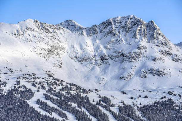 istock Whistler Blackcomb Ski Area 905761442