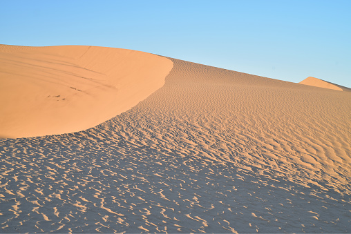 Golden morning sunlight illuminates the sand of the sand dunes at Imperial Sand Dunes Recreational Area, California