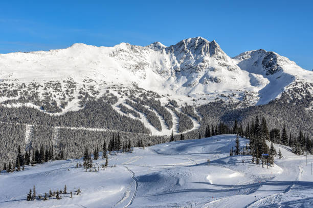 comprensorio sciistico whistler blackcomb - skiing snow mountain canada foto e immagini stock