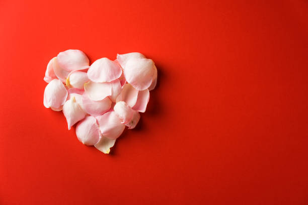 istock Heart shaped rose petals on red background 905770880