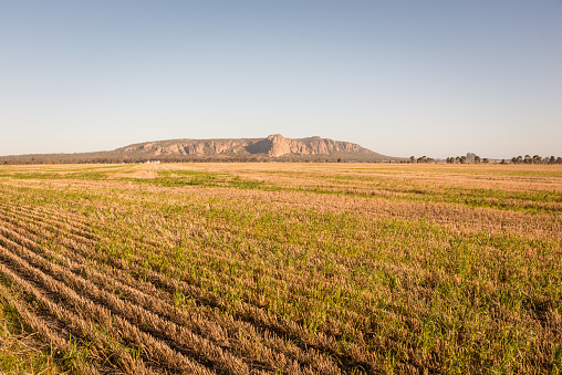 Australian outback landscape Mount Arapiles famous tourist mountain climbing destination in rural Victoria, Australia