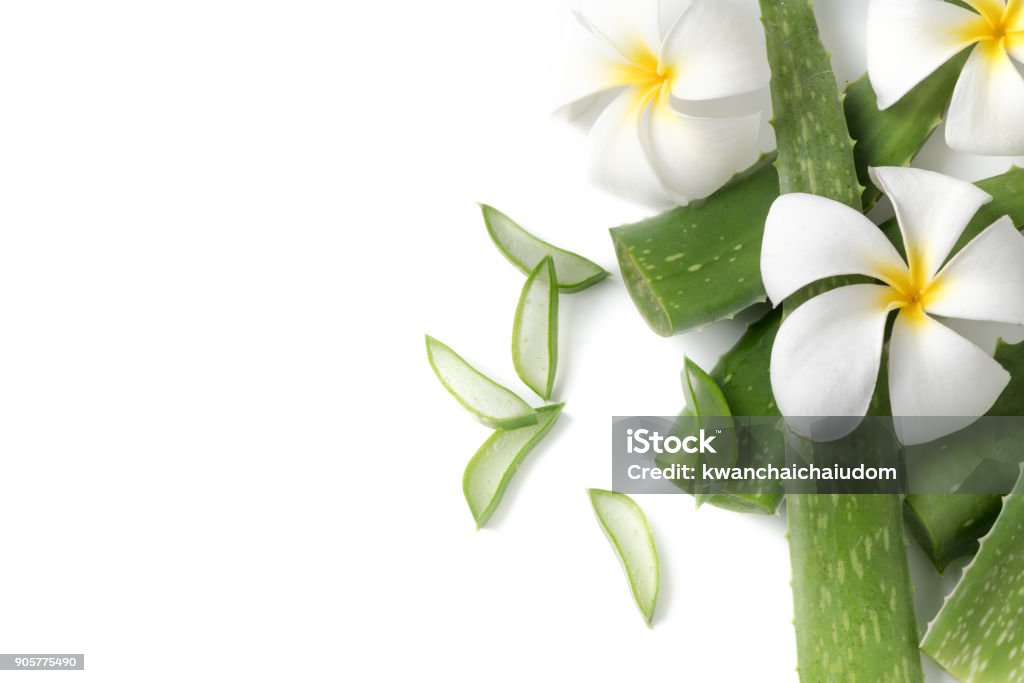 Aloe Vera en rodajas aislado en blanco - Foto de stock de Gel de aloe vera libre de derechos