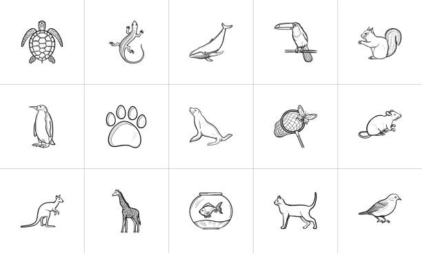 zwierzęta ręcznie rysowane zestaw ikon szkicu - animal doodle bear kangaroo stock illustrations
