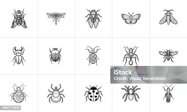 Ilustración de Conjunto De Iconos Del Bosquejo De Insectos y más Vectores Libres de Derechos de Insecto - Insecto, Dibujo, Abeja