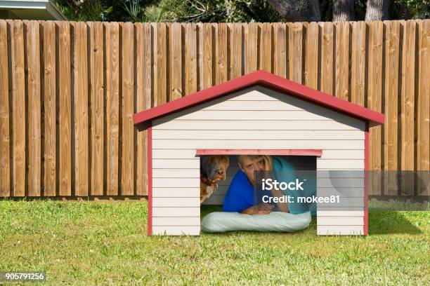 Husband Or Boyfriend Man Sleeping In The Doghouse Because Of Domestic Problems Stock Photo - Download Image Now