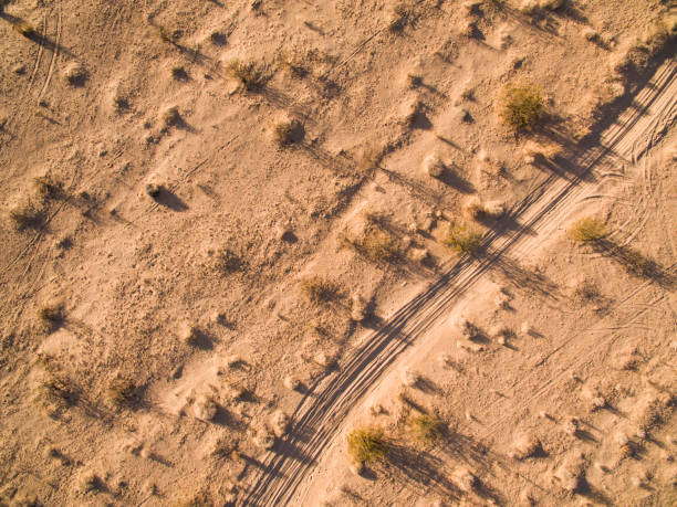 trilha do deserto - bush track - fotografias e filmes do acervo