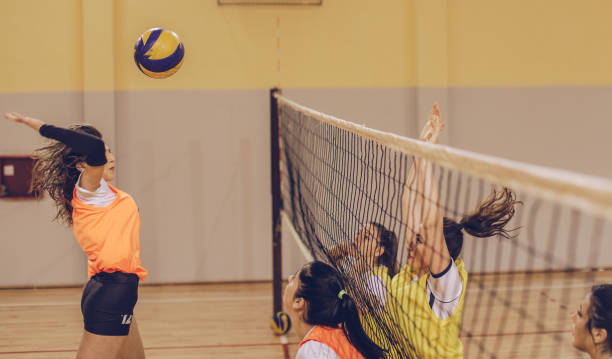 istock Woman volleyball team during game 905806254