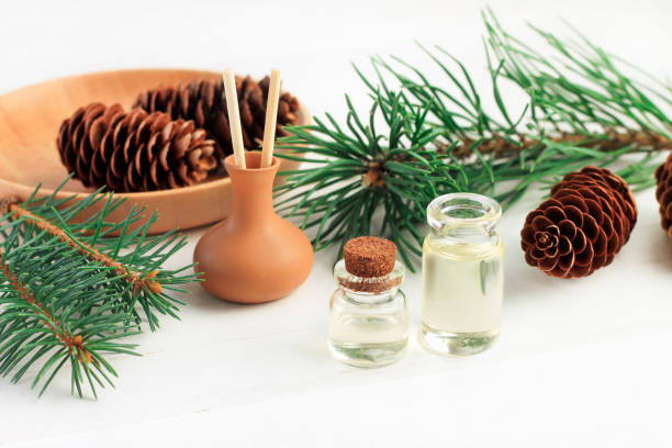 Essential pine oil in bottles with green boughs and cones set on table.