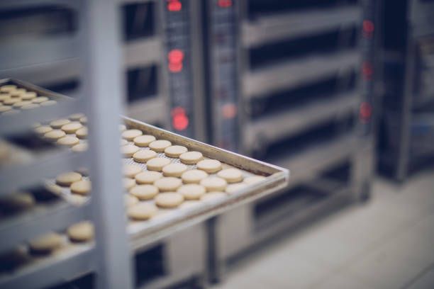 Baked and ready to eat cookies in bakery, no people.