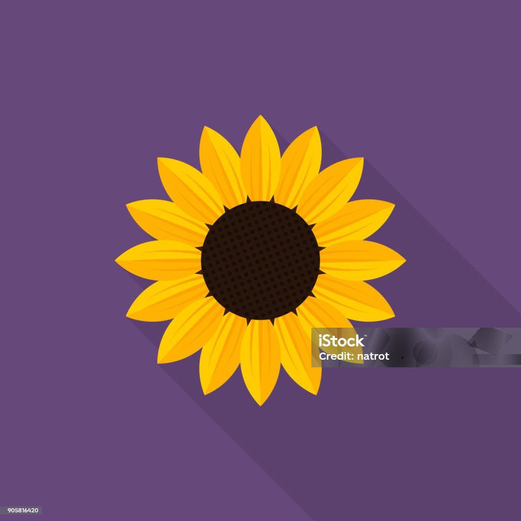 Sunflower icon with long shadow on purple background, flat design style Sunflower stock vector
