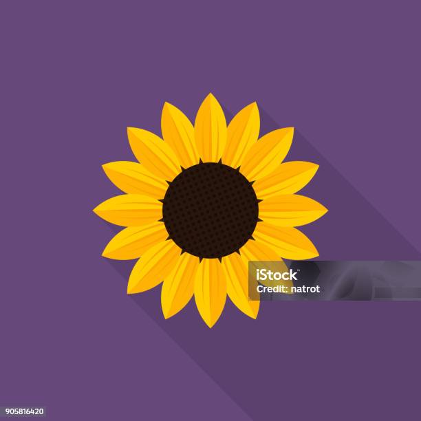 Sunflower Icon With Long Shadow On Purple Background Flat Design Style Stock Illustration - Download Image Now