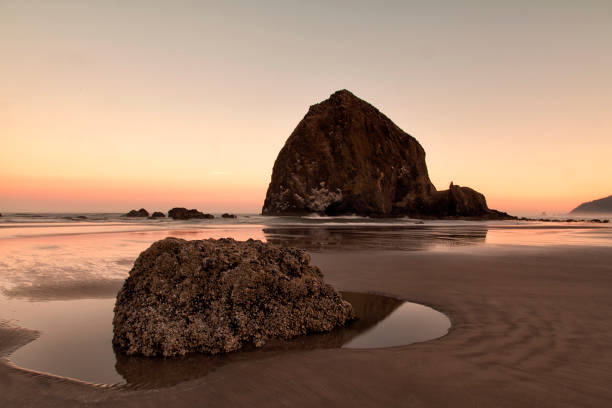 istock Cannon Beach at dawn in summer, Oregon, USA 905819390