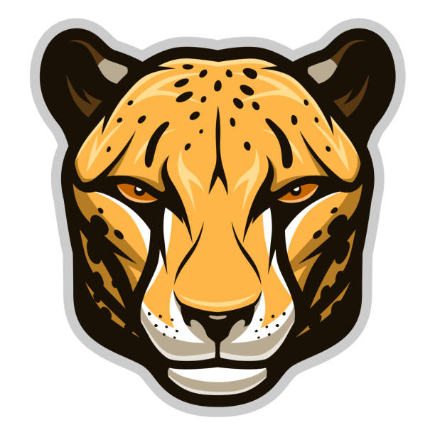 Cartoon Of A Cheetah Face Illustrations, Royalty-Free Vector Graphics &  Clip Art - iStock