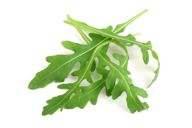 istock Green fresh rucola or arugula leaf isolated on white background 905823238