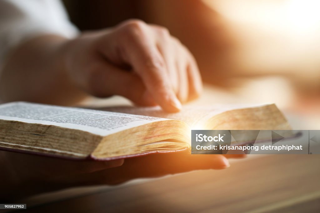 Women reading the Holy Bible. Bible Stock Photo