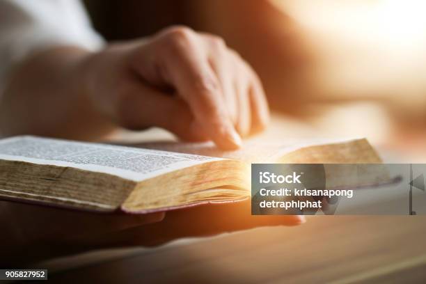 Women Reading The Holy Bible Stock Photo - Download Image Now - Bible, Reading, Prophet