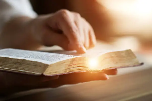 Photo of Women reading the Holy Bible.