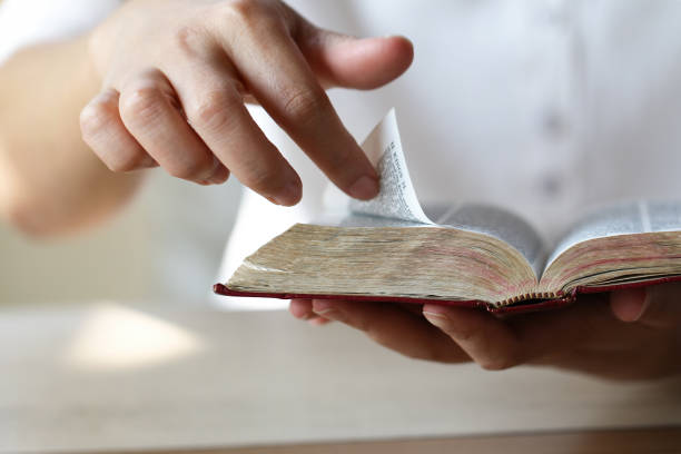 istock Women reading the Holy Bible.,Women reading a book 905828362