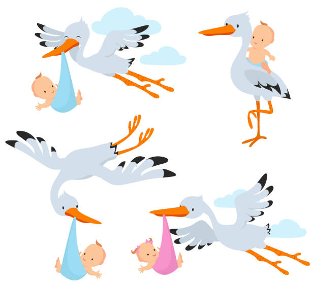 istock Cartoon flying storks and stork birds carrying baby vector set 905832846