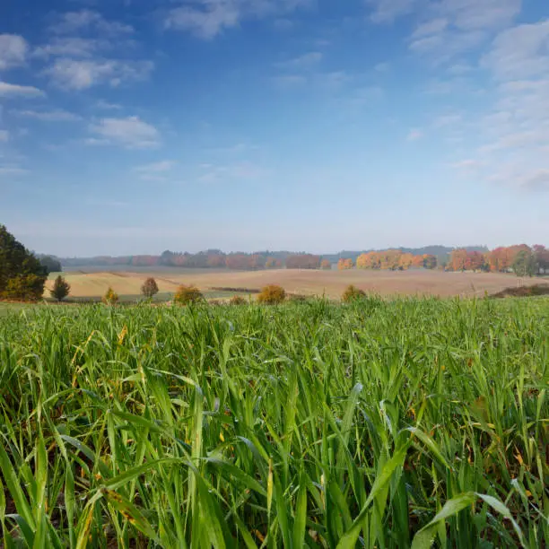 Beautiful field landscape in Poland Pomerania province