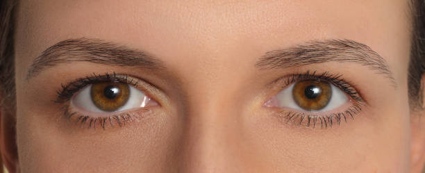 istock Symmetrical women's eyes . Symmetric macro mirrored two deep human eyes. Close-up brown eyes of European person. 905836344