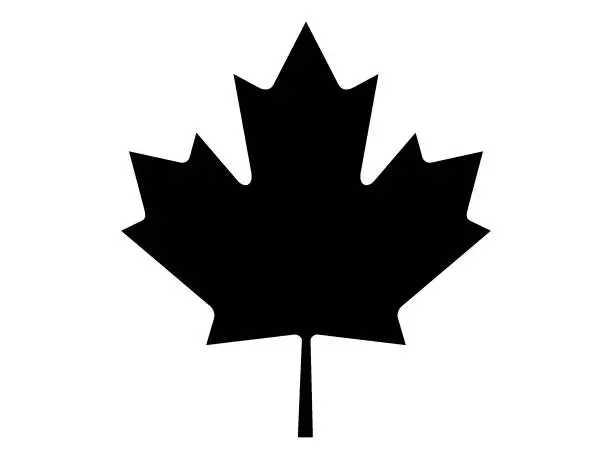 Vector illustration of Vector illustration of the black and white Maple Leaf