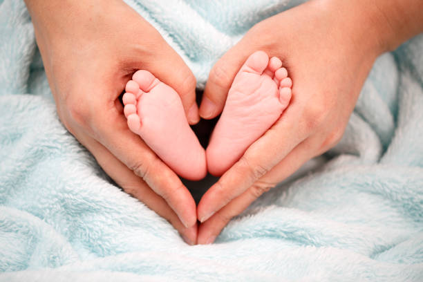 foto de pies de bebé recién nacido - new wool fotografías e imágenes de stock