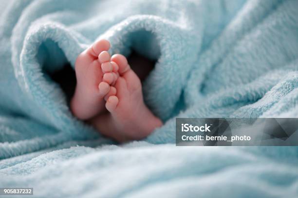 Photo Of Newborn Baby Feet Stock Photo - Download Image Now - Baby - Human Age, Foot, Newborn