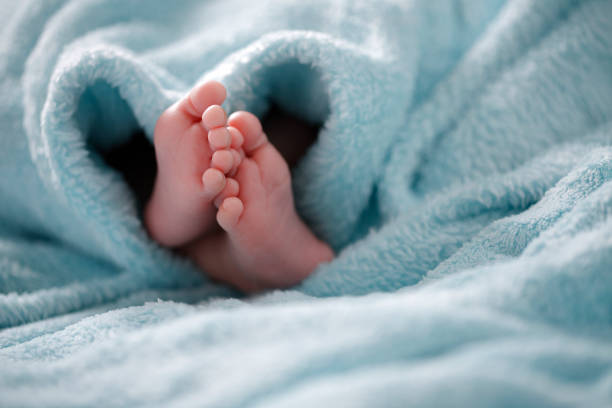 photo of newborn baby feet - baby blanket imagens e fotografias de stock