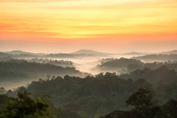 istock sunrise in the mountains landscape 905840594