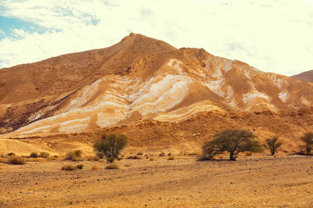 istock Mountain landscape. Negev desert. Israel 905840920