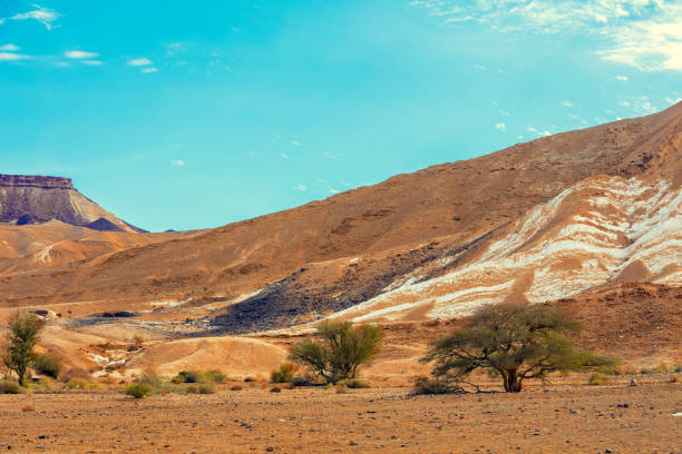 istock Mountain landscape. Negev desert. Israel 905841296