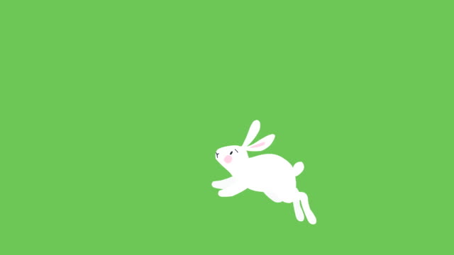 21,230 Rabbit Stock Videos and Royalty-Free Footage - iStock | Pet rabbit,  Rabbit running, Rabbit jump