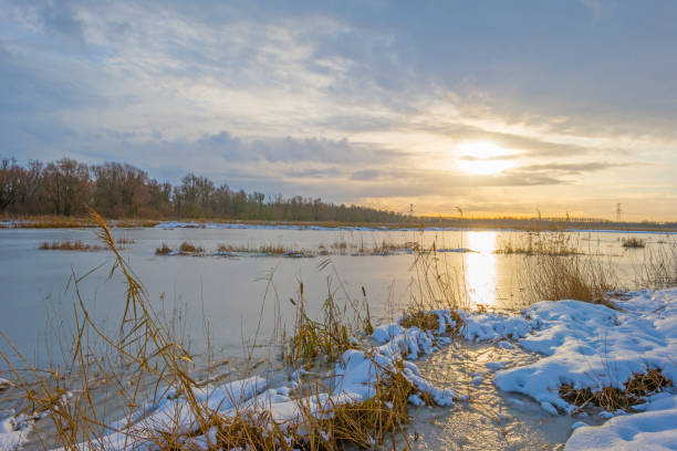 rive d’un lac gelé dans un champ neigeux dans la lumière du soleil en hiver - frozen cold lake reed photos et images de collection