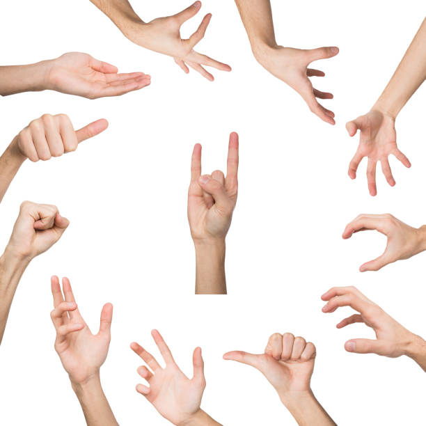 istock Set of various hand gestures isolated on white 905843738