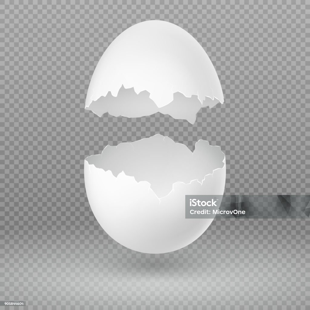 Opened white egg with broken shell isolated vector illustration Opened white egg with broken shell isolated vector illustration. Eggshell fragile broken, open and cracked oval egg Egg - Food stock vector