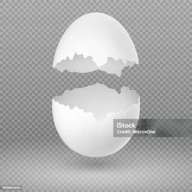 Opened White Egg With Broken Shell Isolated Vector Illustration Stock Illustration - Download Image Now