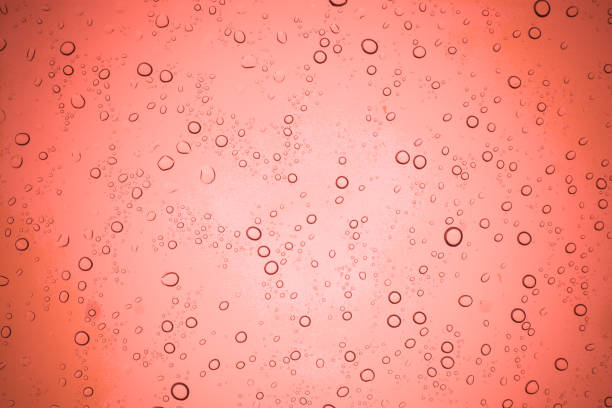 istock Rain droplets on red glass background, Water drops on glass. 905844740