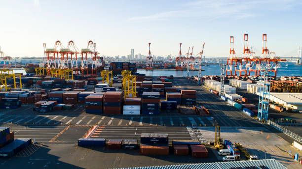 istock In the harbor containers are arranged and trade is taking place. 905848410