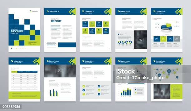 Business Company Profile Annual Report Brochure Flyer Presentationsmagazineand Book Layout Template With Page Cover Design And Info Chart Element Vector A4 Size For Editable Stock Illustration - Download Image Now