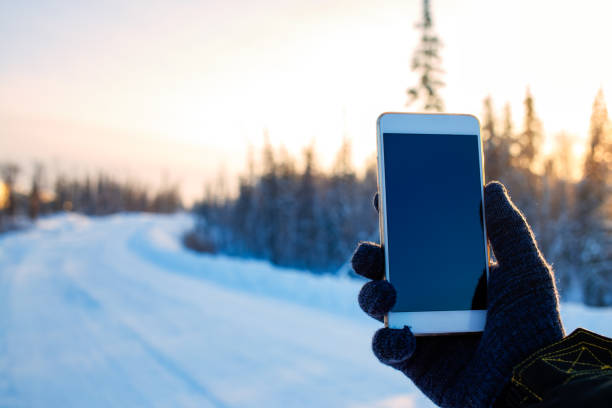 istock Phone in hand on the winter forest background 905853298