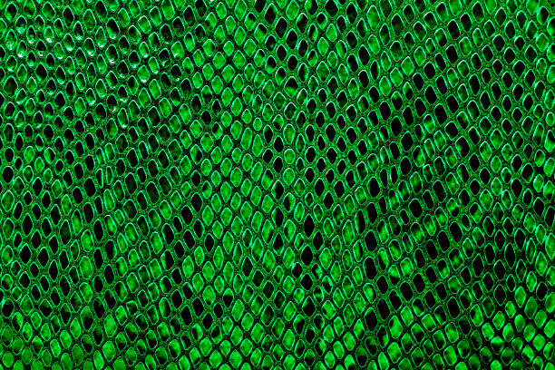 istock Snake skin leather, for your background 905854240